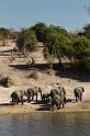 053 Chobe NP, olifanten